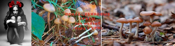скорость mdpv Абинск